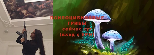 кокаин колумбия Богданович